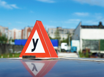 Лицензия автошколы (мск)